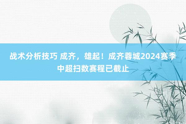 战术分析技巧 成齐，雄起！成齐蓉城2024赛季中超扫数赛程已截止