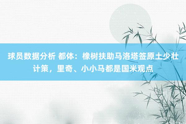 球员数据分析 都体：橡树扶助马洛塔签原土少壮计策，里奇、小小马都是国米观点